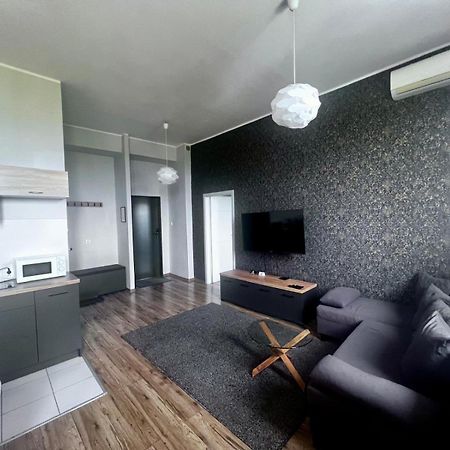 Business Center Apartment Skierniewice Exterior photo